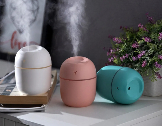 Egg Shaped Humidifier